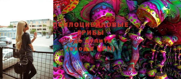 ешки Алзамай