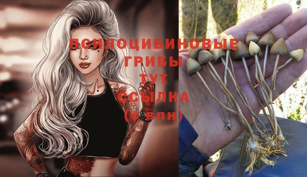 ешки Алзамай
