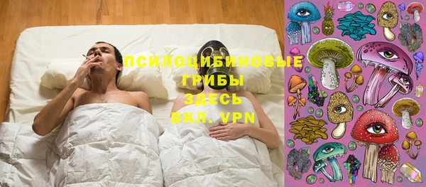 ECSTASY Алексин