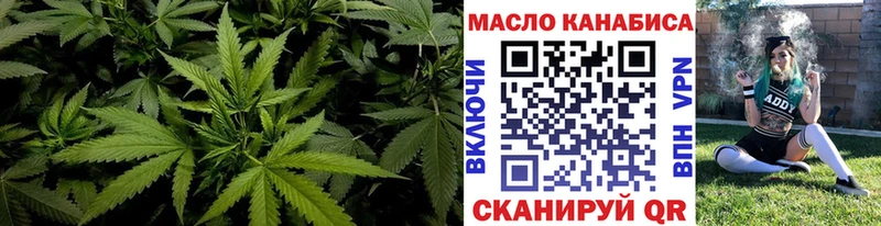 мориарти какой сайт  Бавлы  ТГК концентрат  как найти  